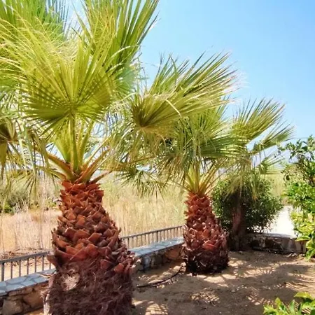 Naxian Bliss Lägenhet Agkidia